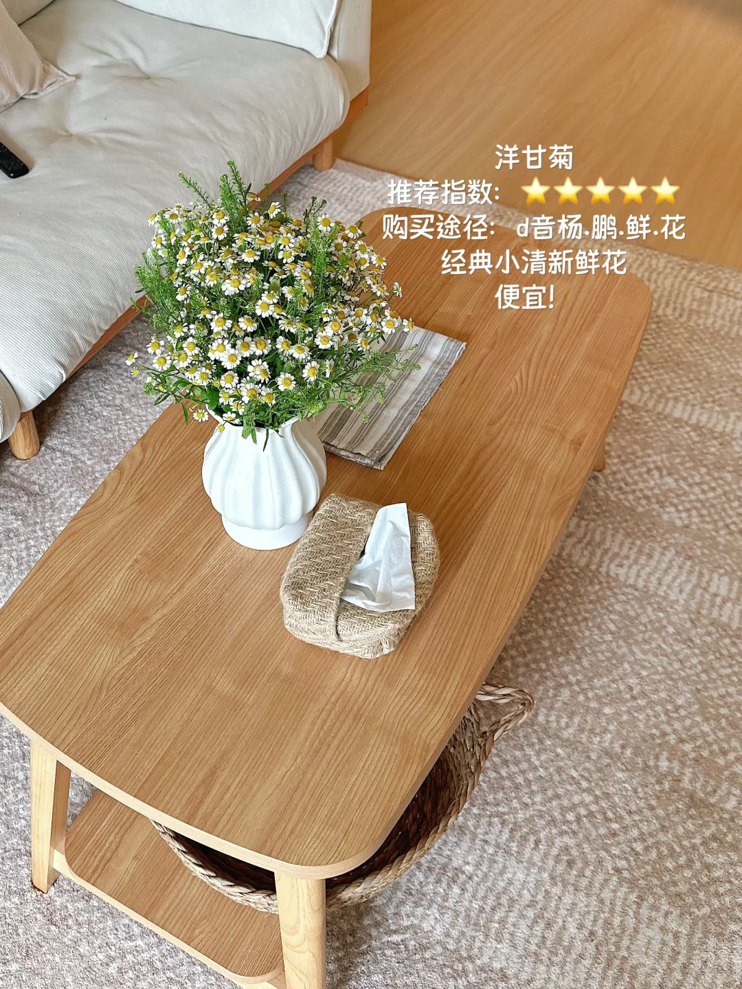 原木风小家入住一年，分享家里的一些植物