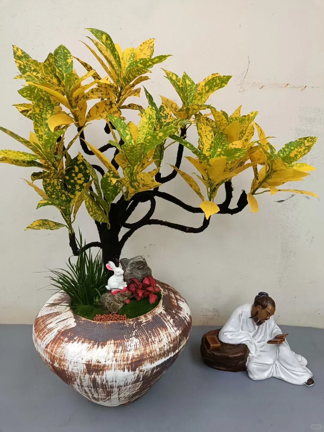 绿植盆栽，让家充满生机与活力！！！