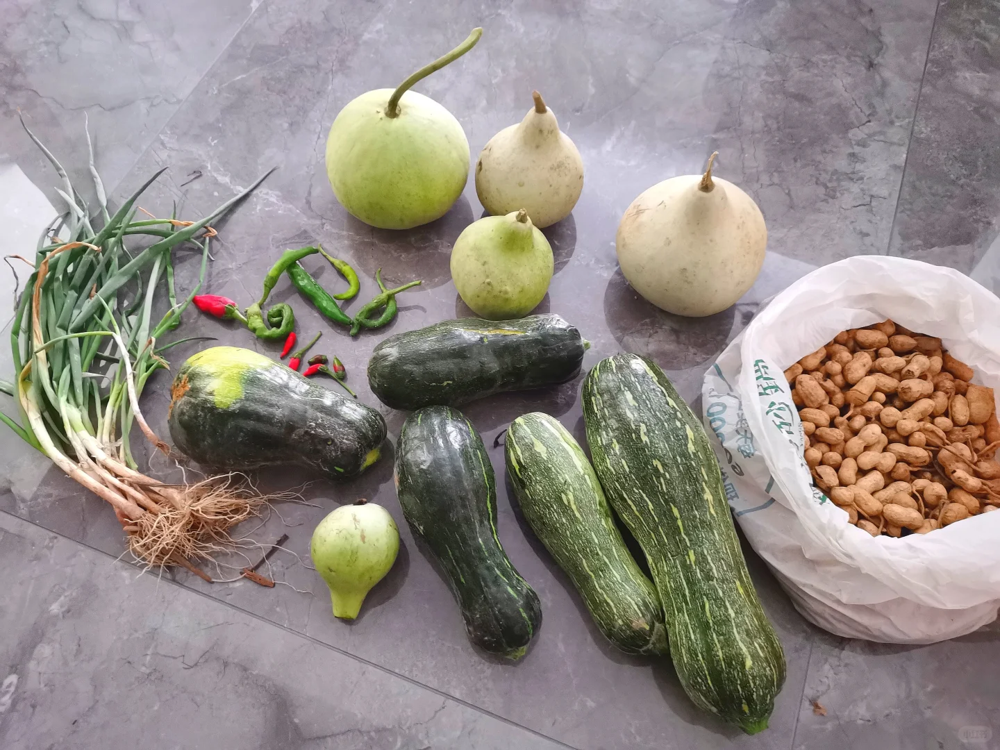 小菜园的全部收获?