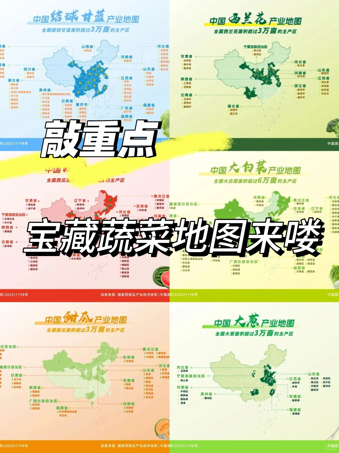 ?️嗯?这些地图是什么呀❓❓