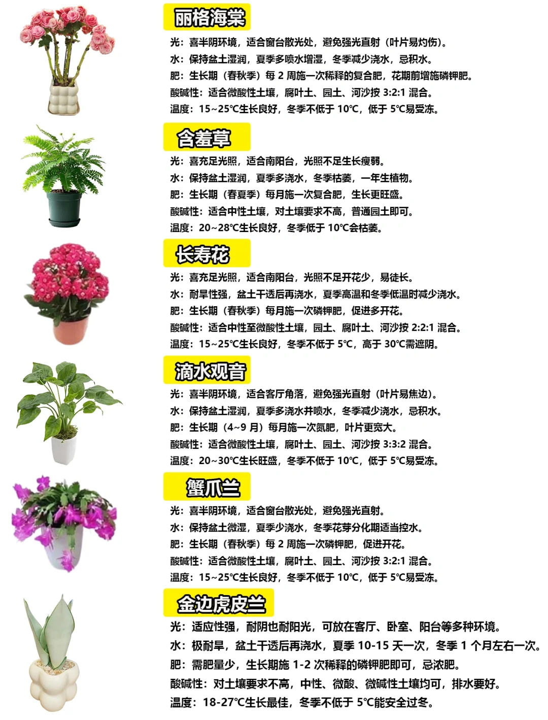 108种绿植花卉养护手册大全