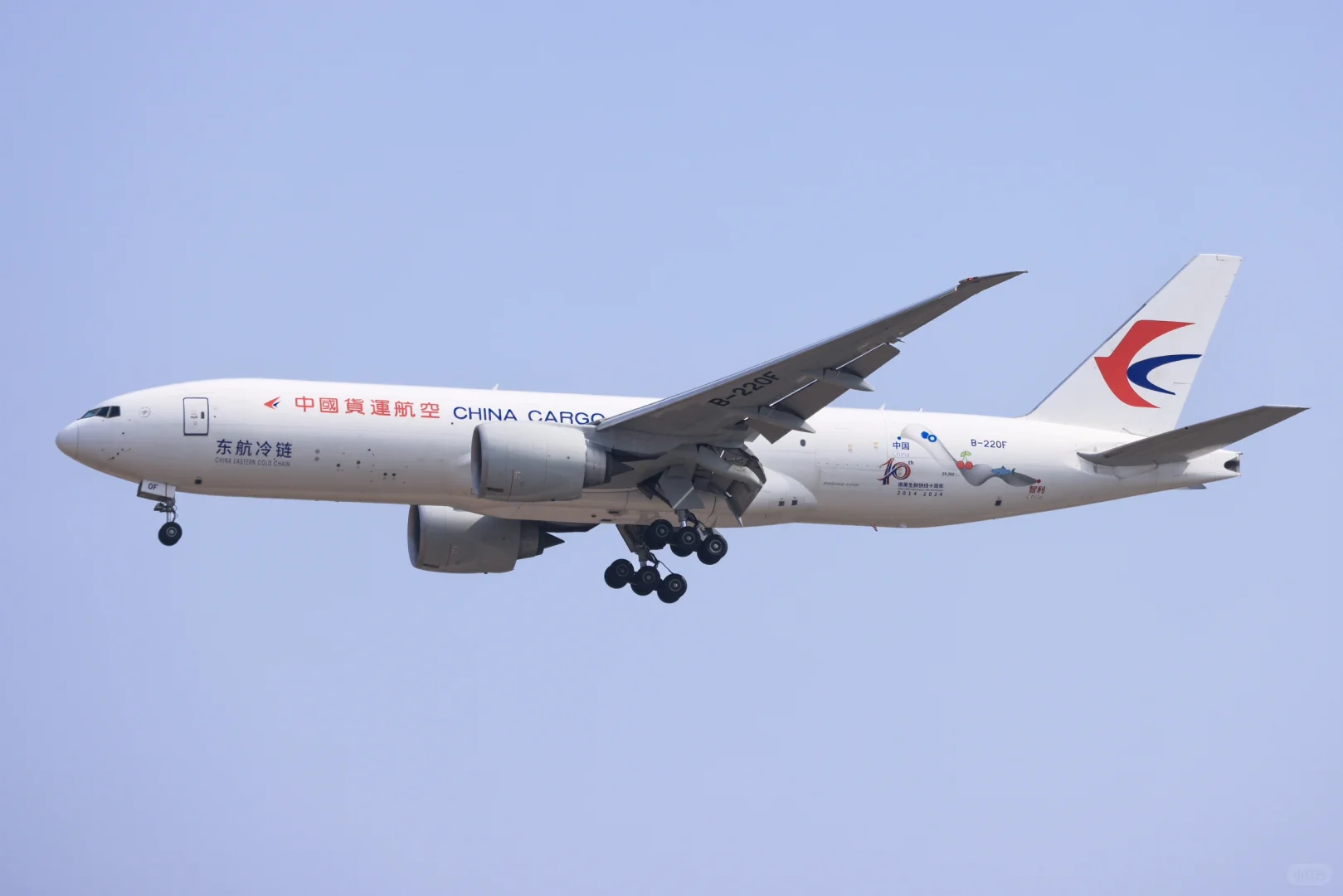 中国货运航空“车厘子”波音B77L