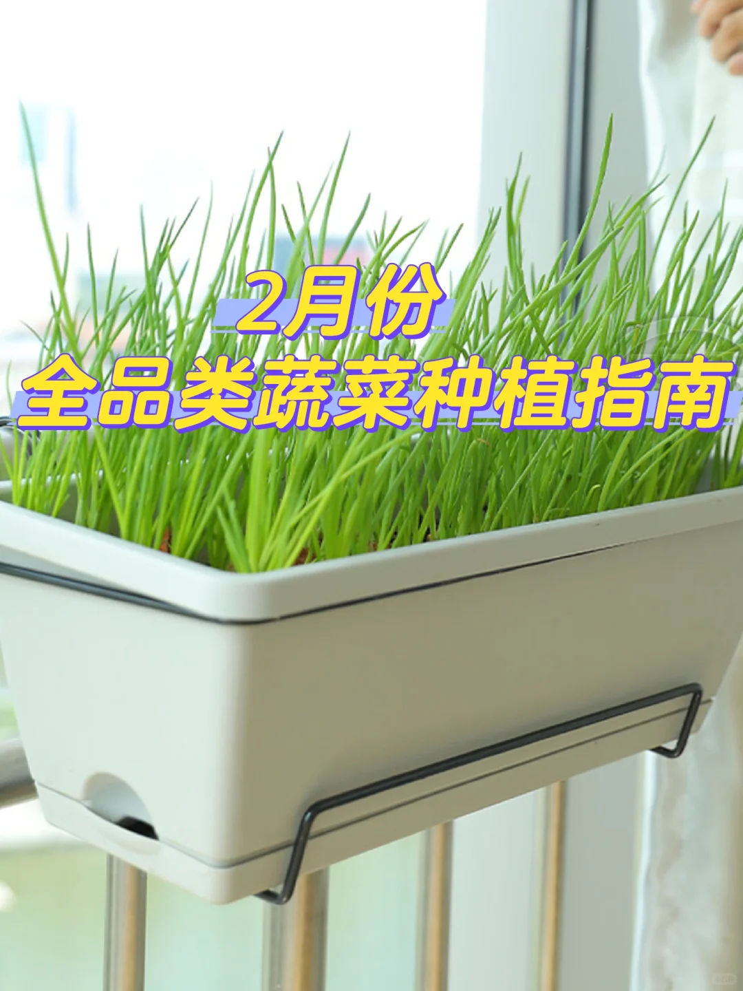 2月种菜黄金期，全品类蔬菜种植指南来啦