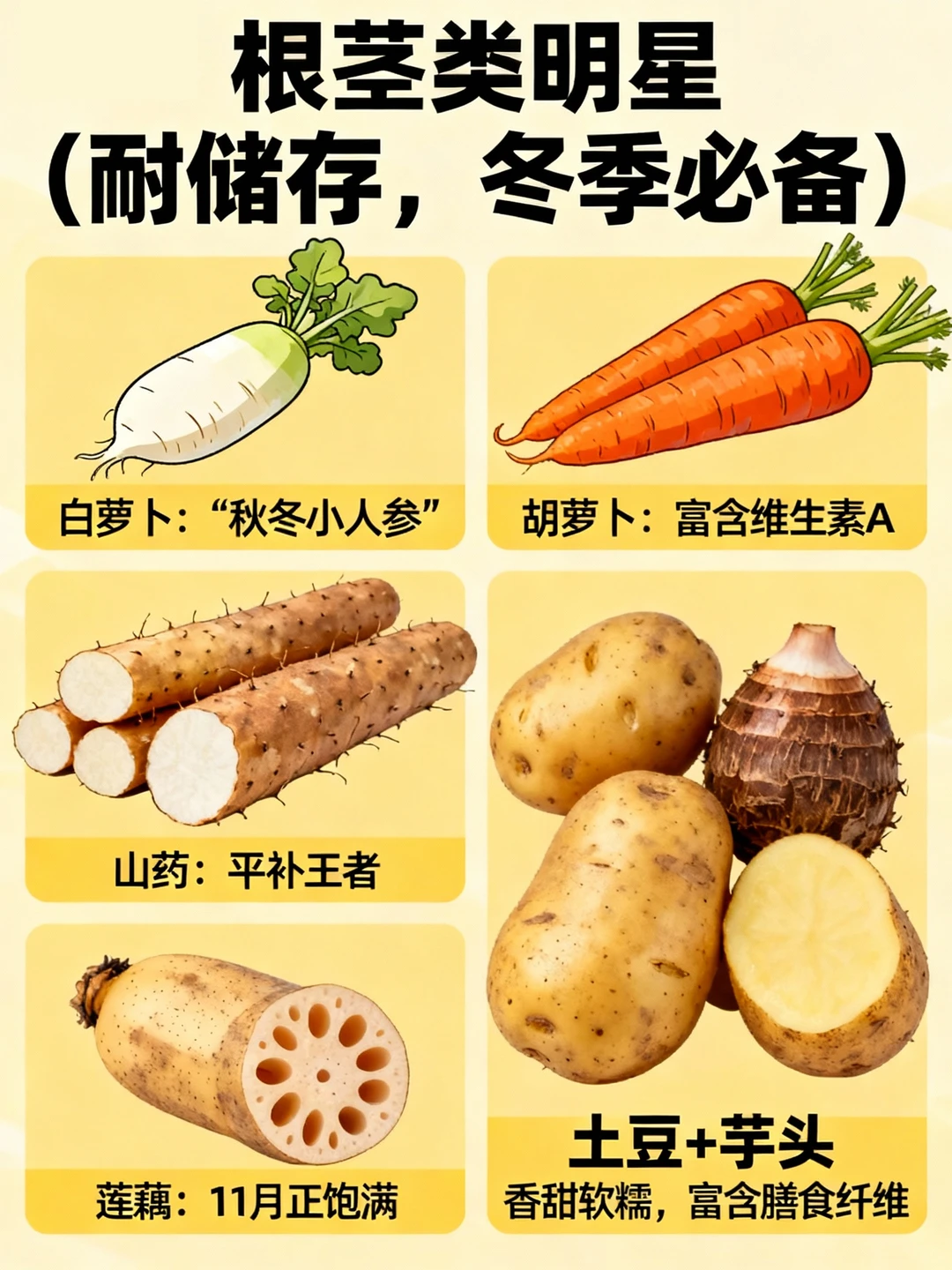 北方冬季应季蔬菜全攻略丨配套储存大法