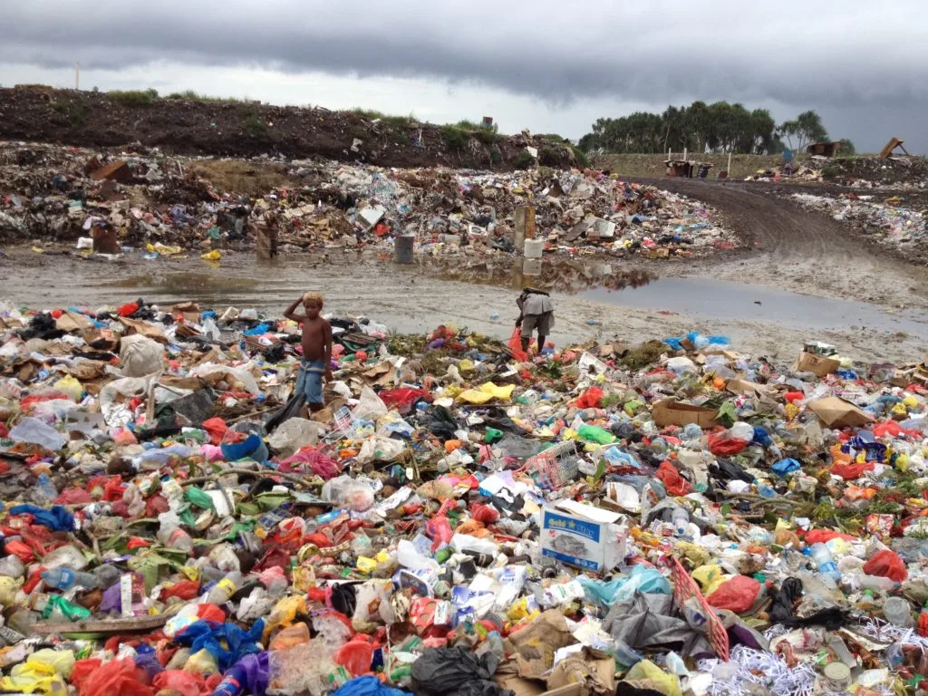 食物垃圾不是垃圾！堆肥的力量与意义