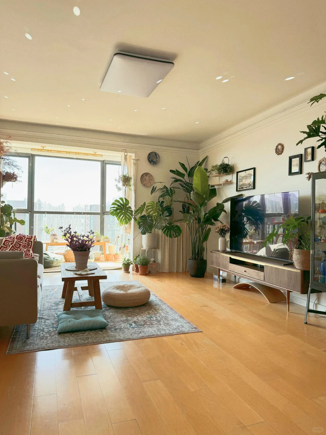 ⸝⸝꙳?i人用绿植爆改出租屋°.