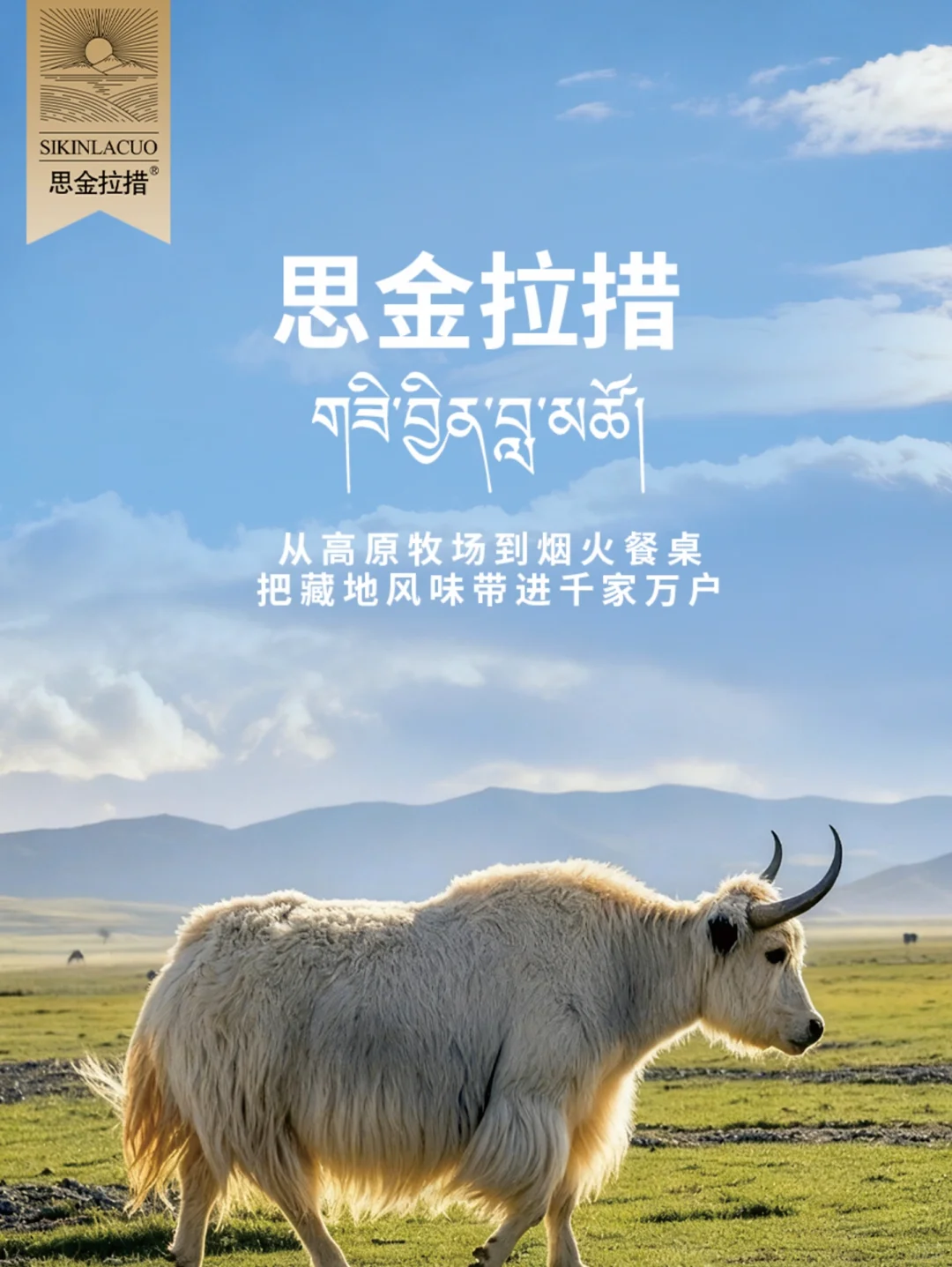 思金拉措牦牛肉 | 把藏地风味带进千家万户！