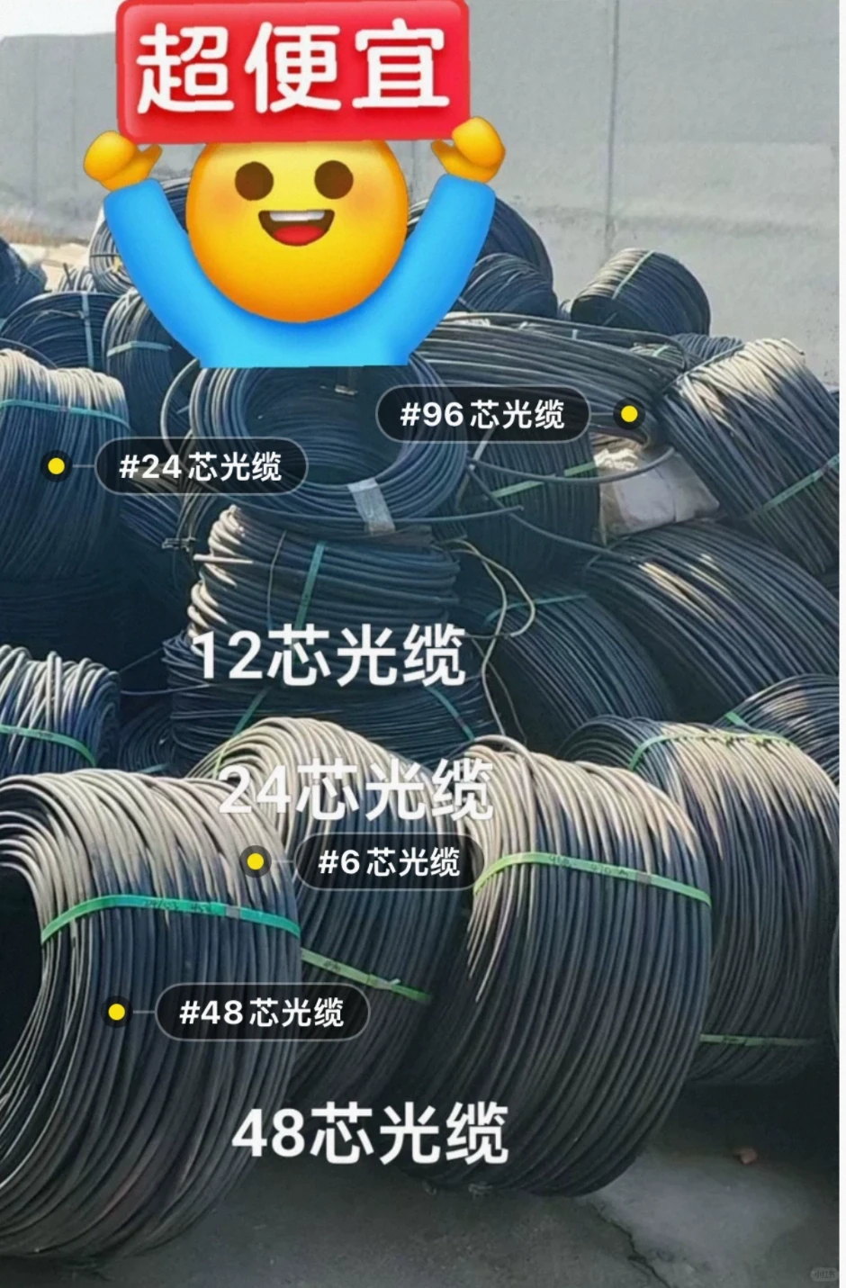 短米数12芯 光缆