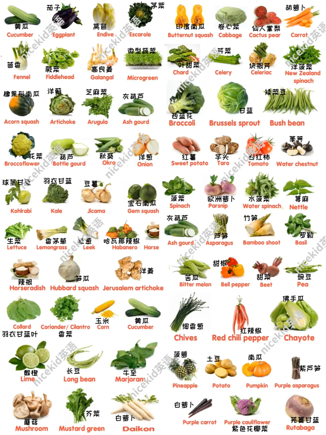 英语启蒙-各种蔬菜相关的英语单词表达集合