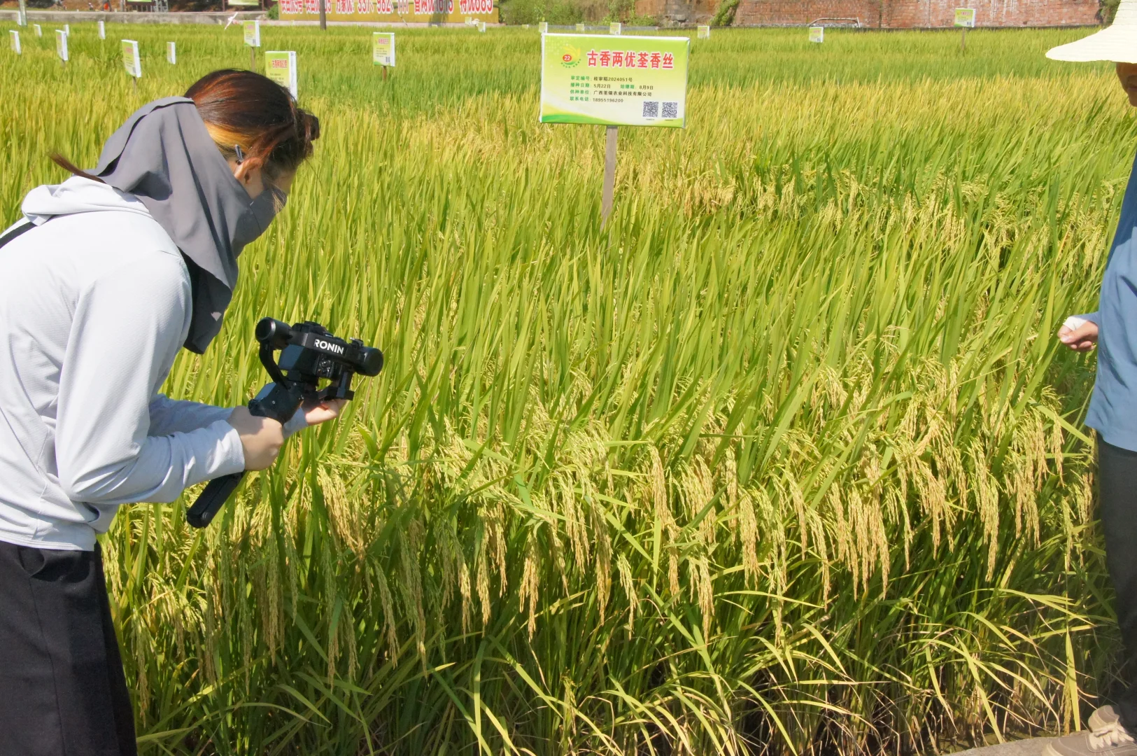 00后在农业企业的一天