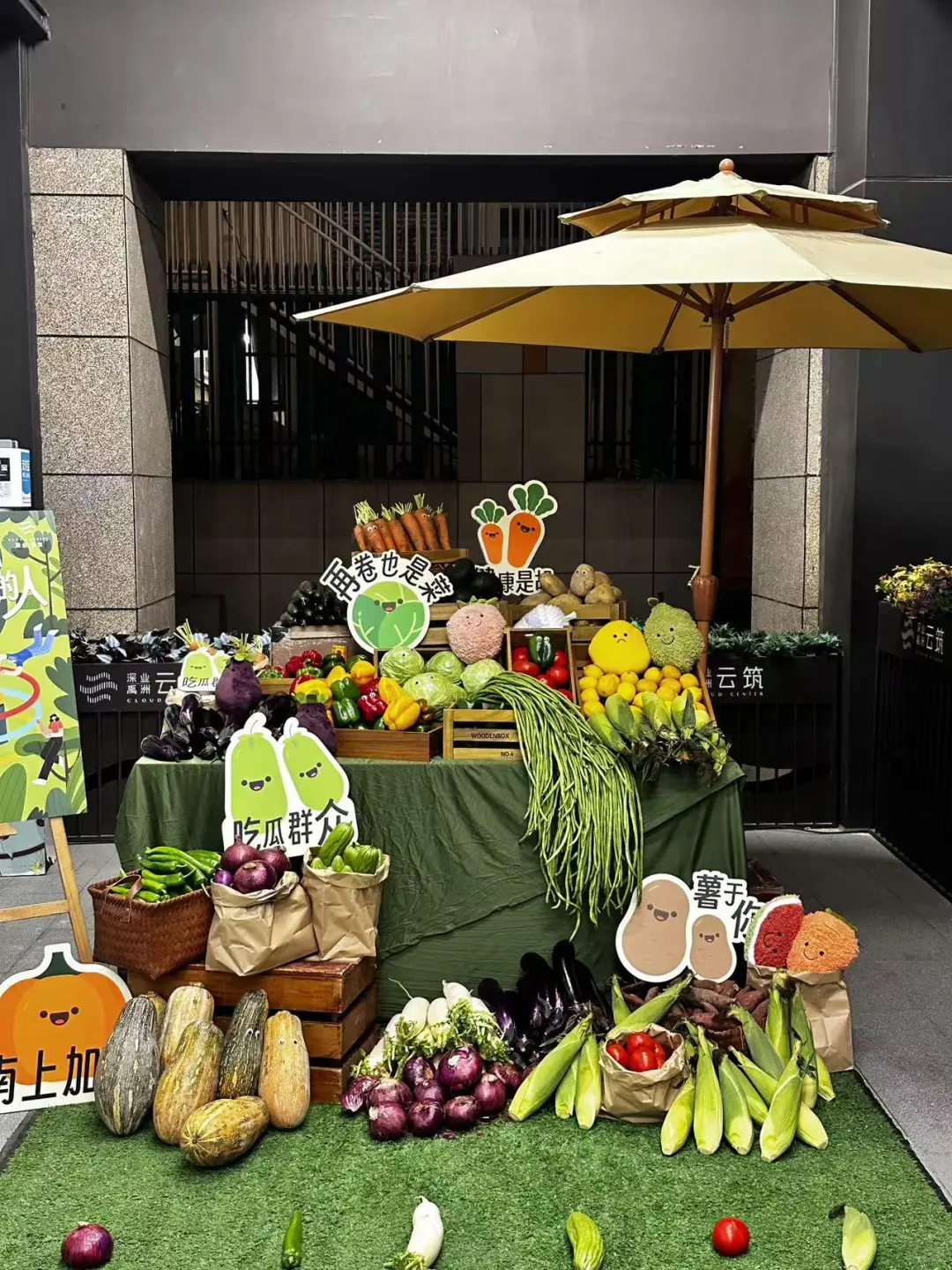 蔬菜套⭕圈你见过吗？