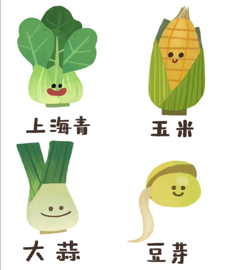 蔬菜合集|每天都要多吃蔬菜哦?