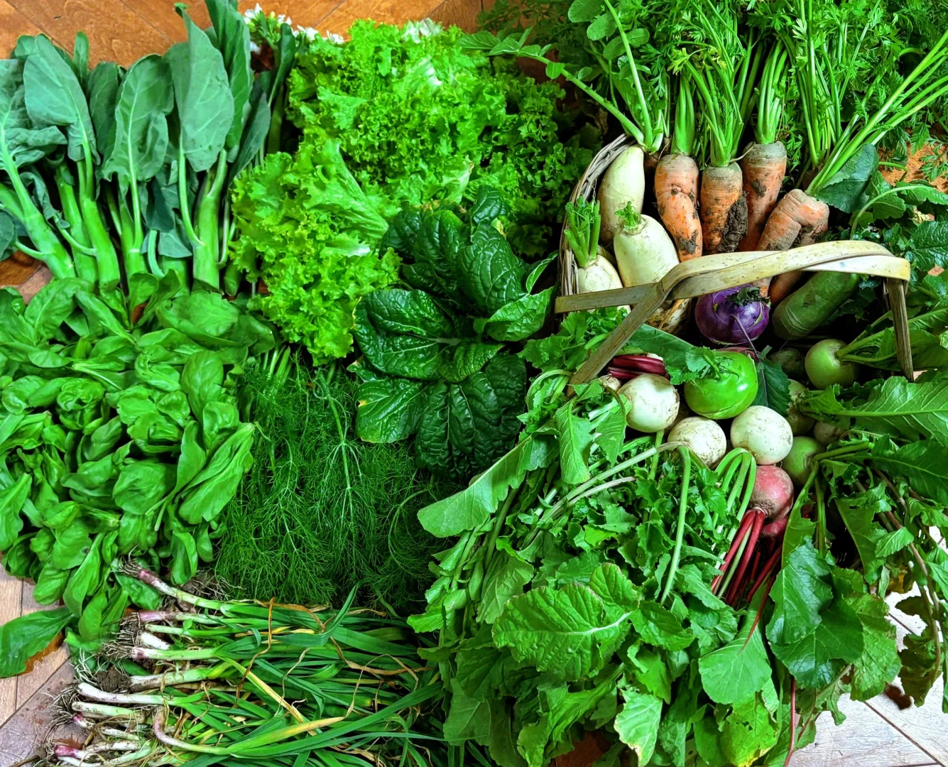 冬季菜园子能收什么菜呢？