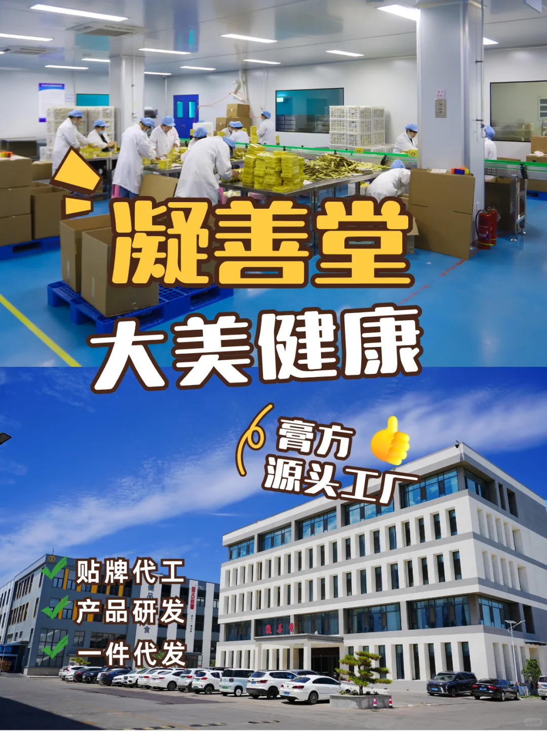 ?凝善堂大健康,源头工厂等你来探秘