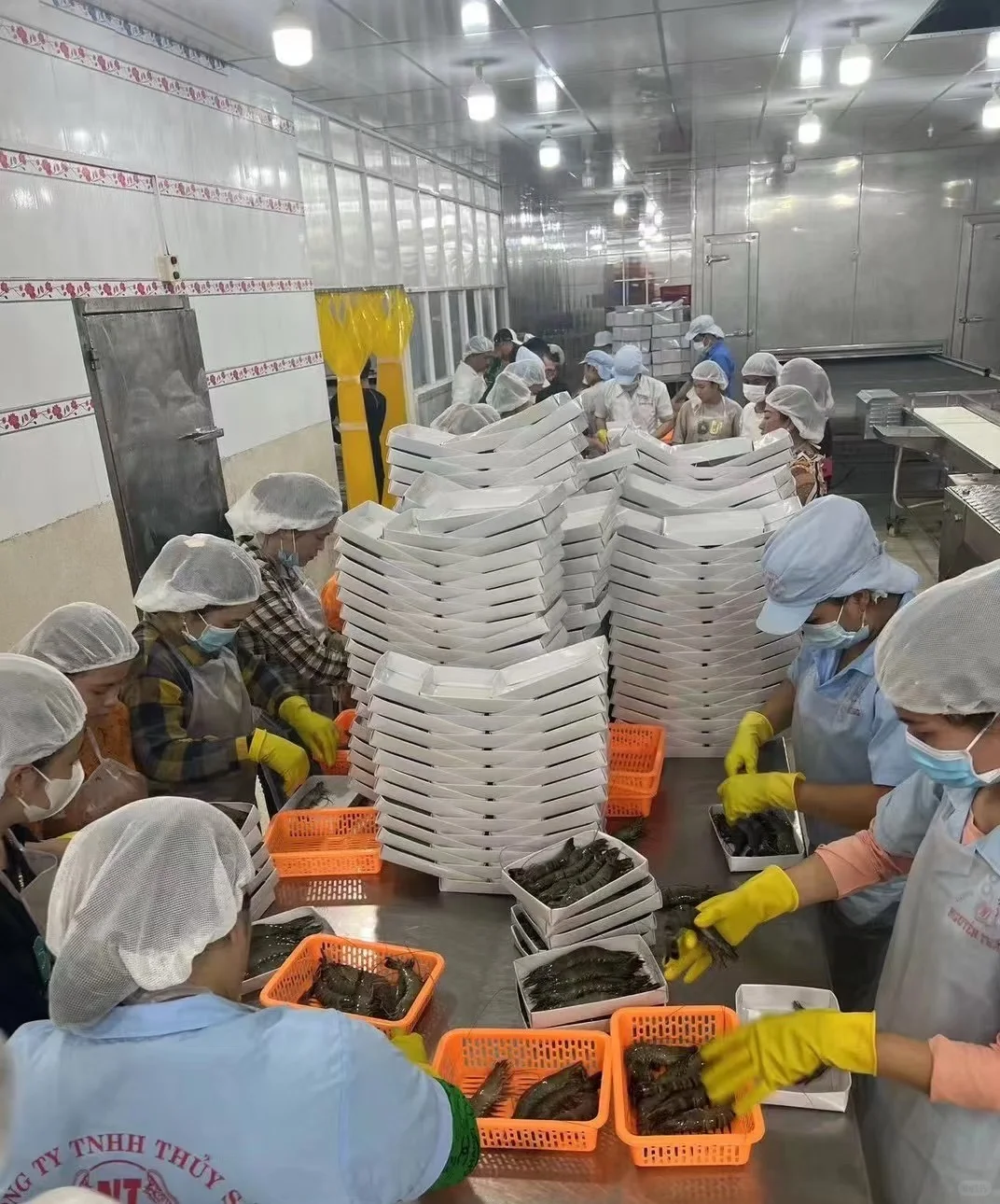 东西湖居然有分拣打包海鲜产品的活 长白班