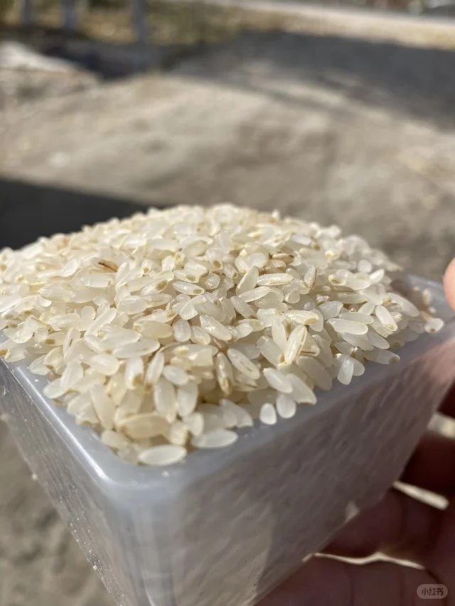 粗加工真的好丑，怪不得没人吃