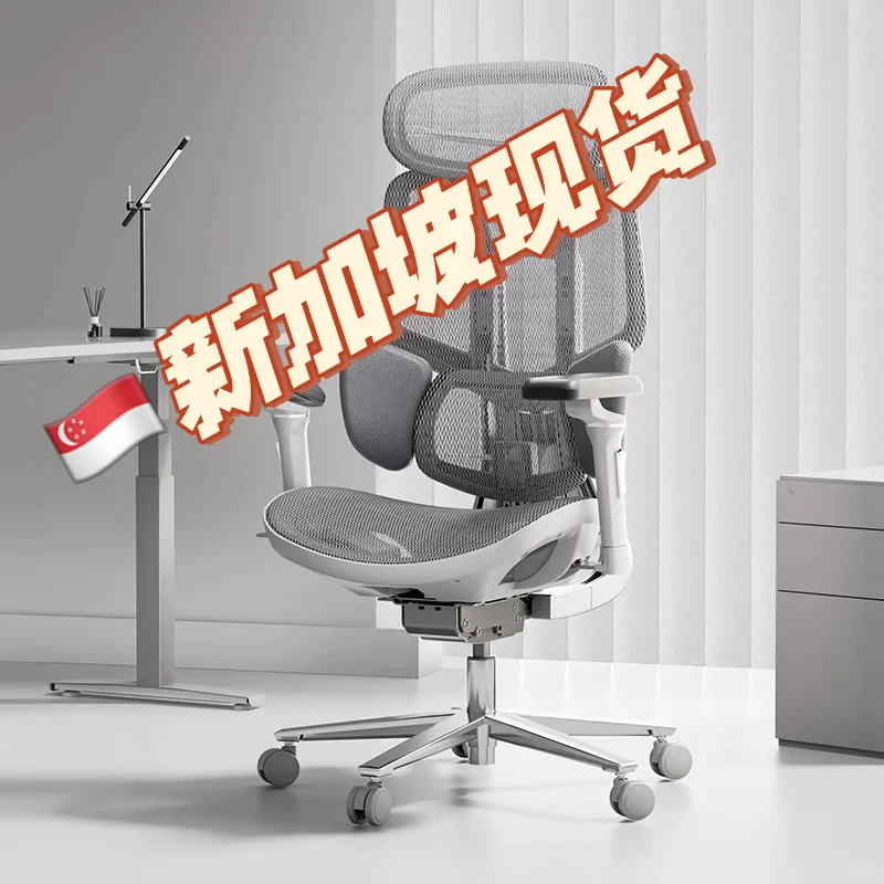 ??新加坡现货人体工学椅（13