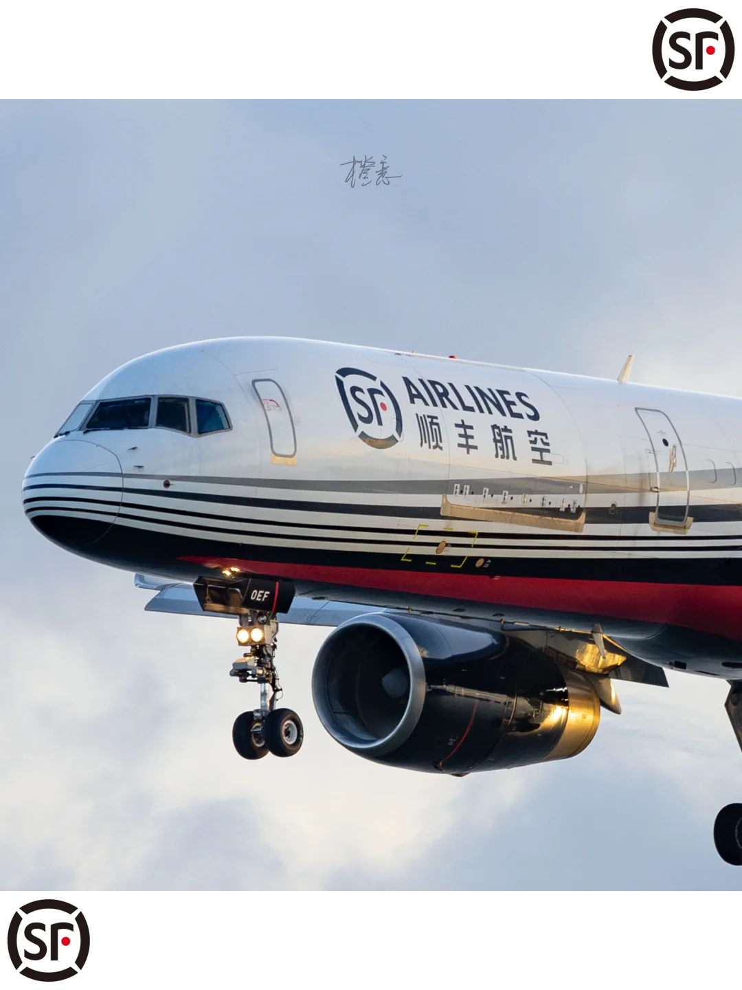 高崎日记179｜你的快递?一大早就在天上飞