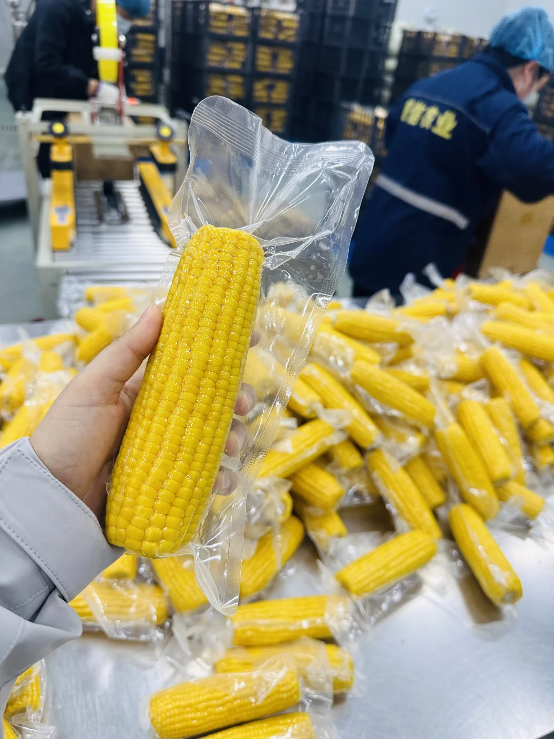 这样的厂房谁会不爱？！