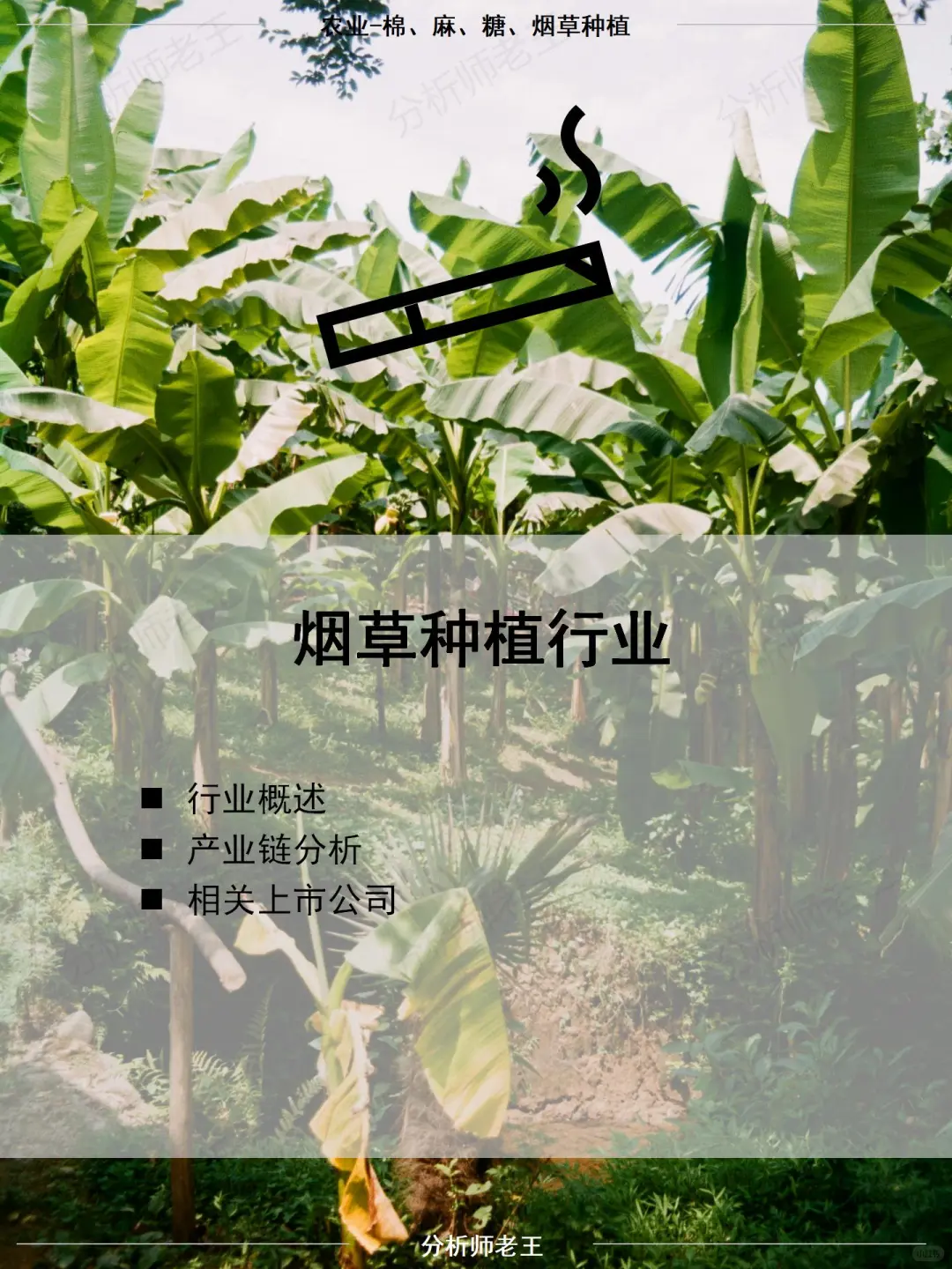 烟草种植行业
