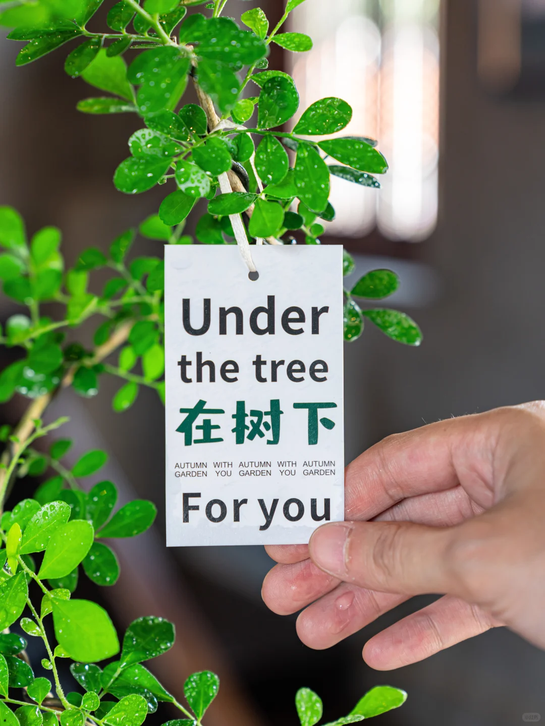 生命真是奇妙又美好的?