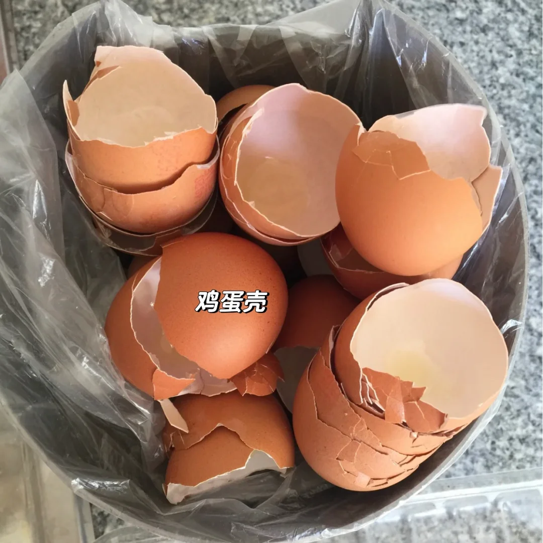 ♻️可持续生活｜厨余垃圾处理