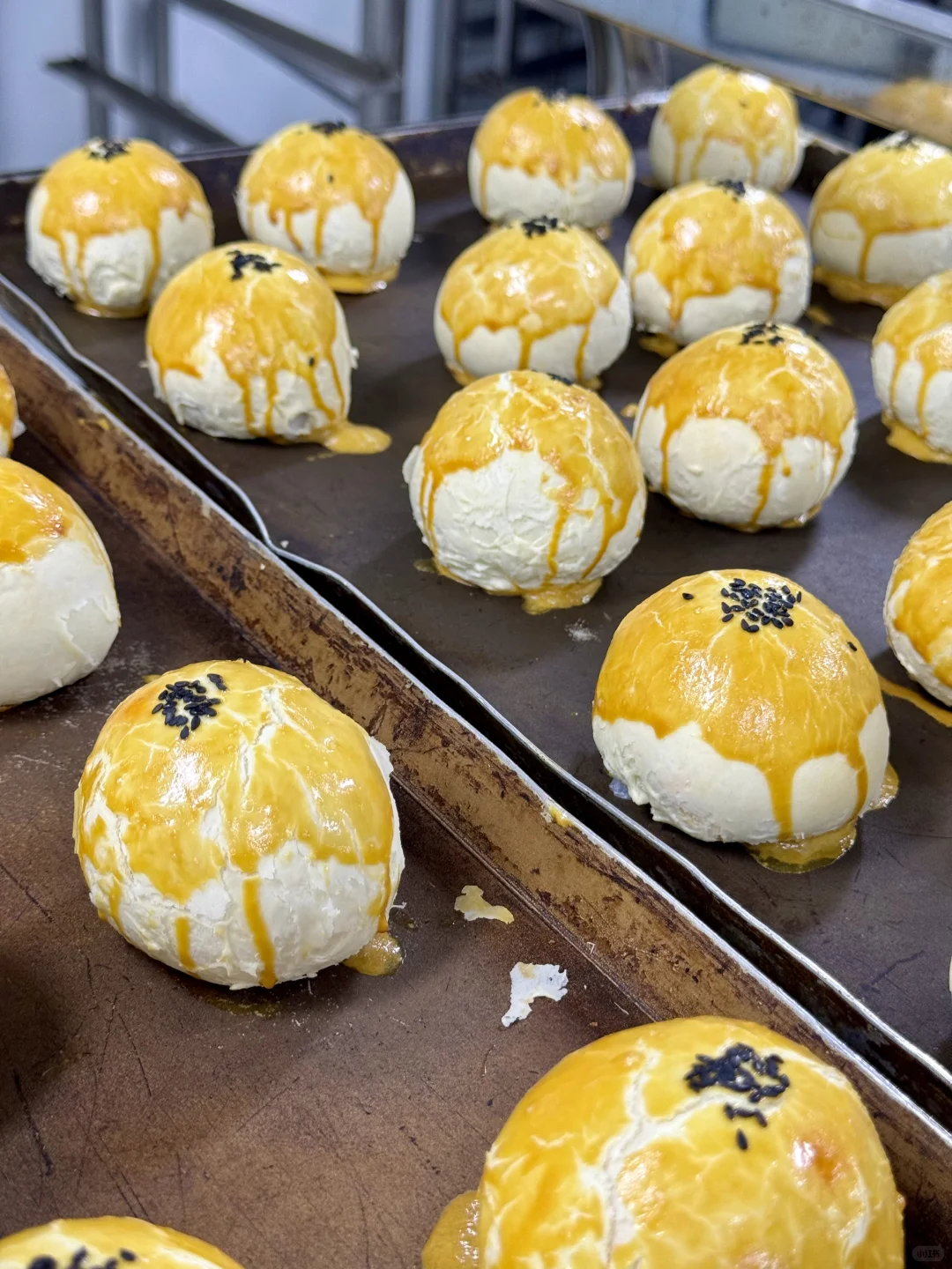 《重生之我是食品厂厂长》