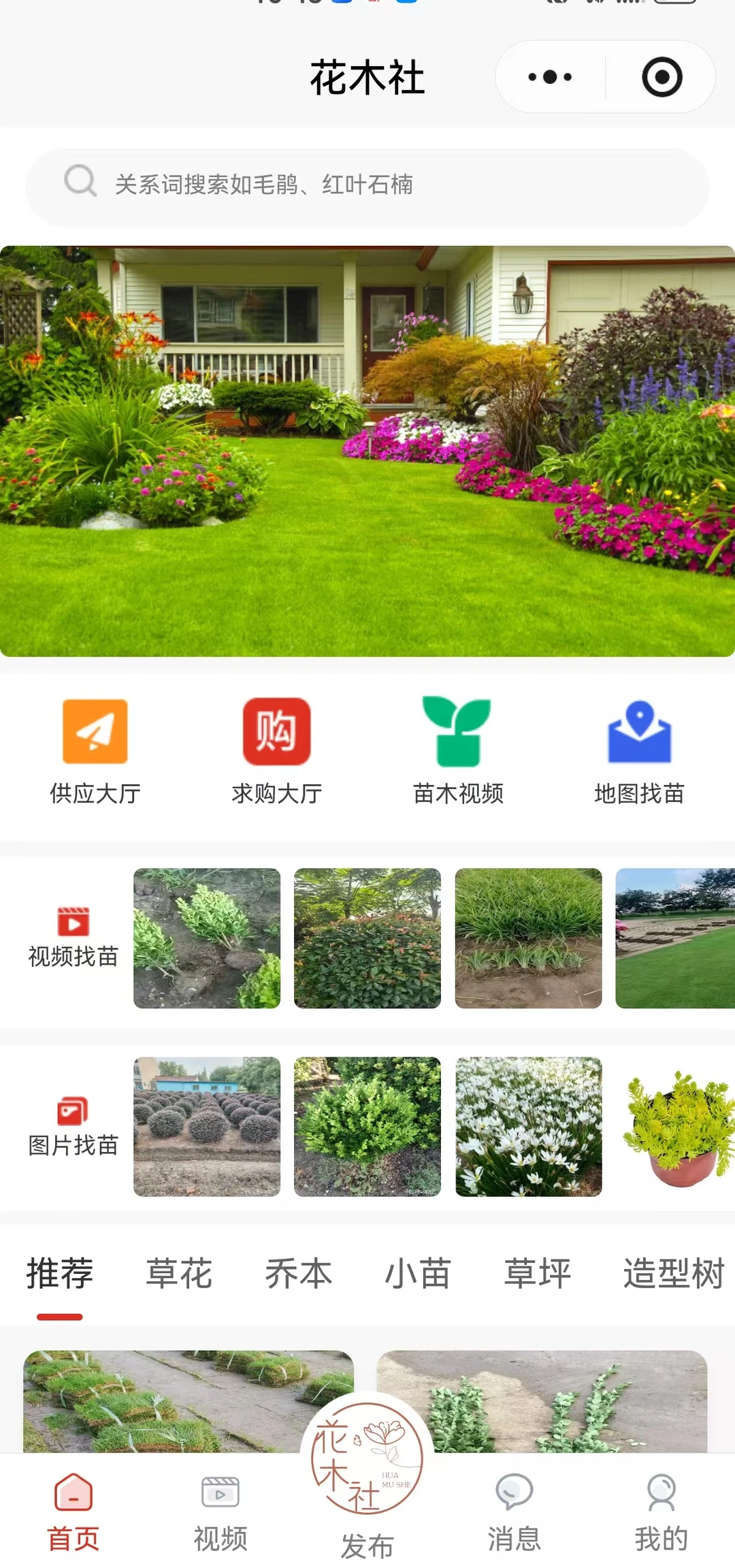 卖花木，路子找对，事半功倍！?