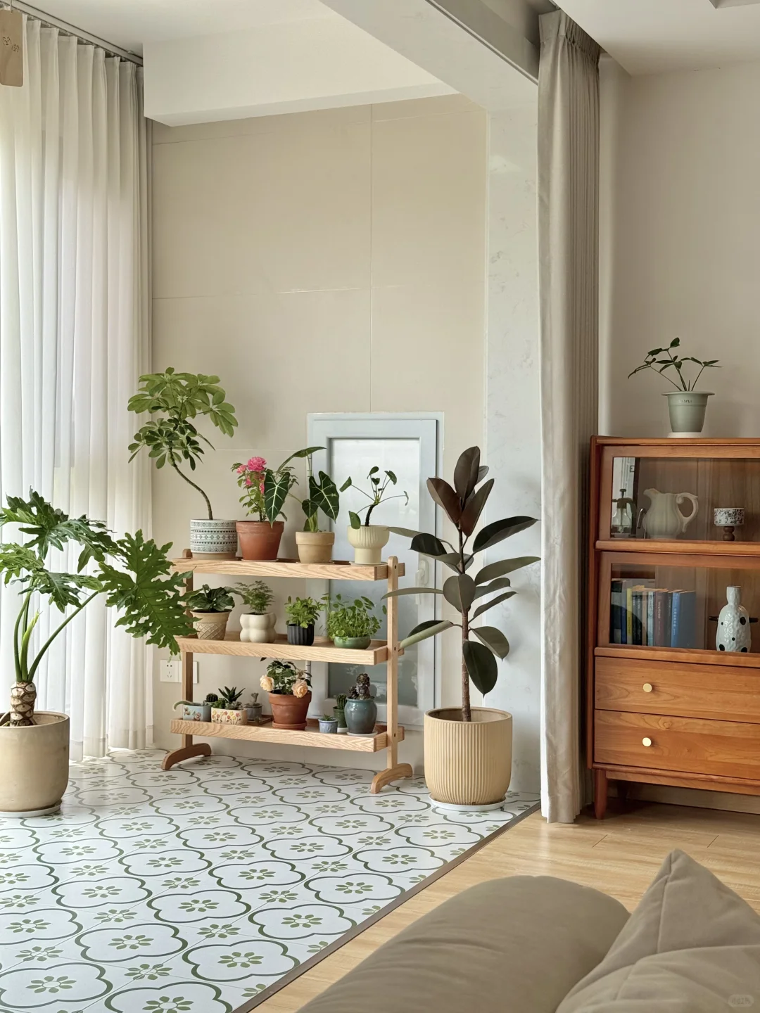 我的小小阳台绿植角初见雏形啦✨