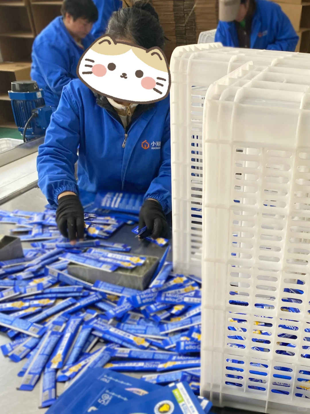 打工日记?|被猫条支配的一天