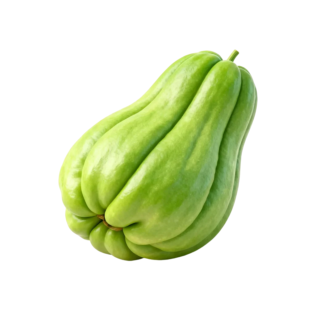 瓜类蔬菜图标，有没有出现过在你的餐桌上嘞