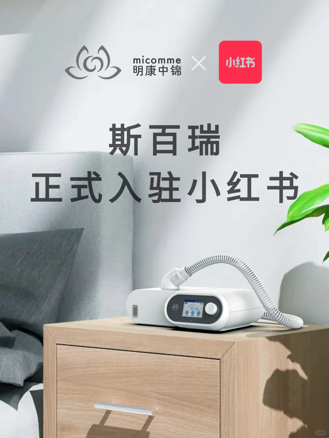 ?官宣！斯百瑞正式入驻小红书啦！?