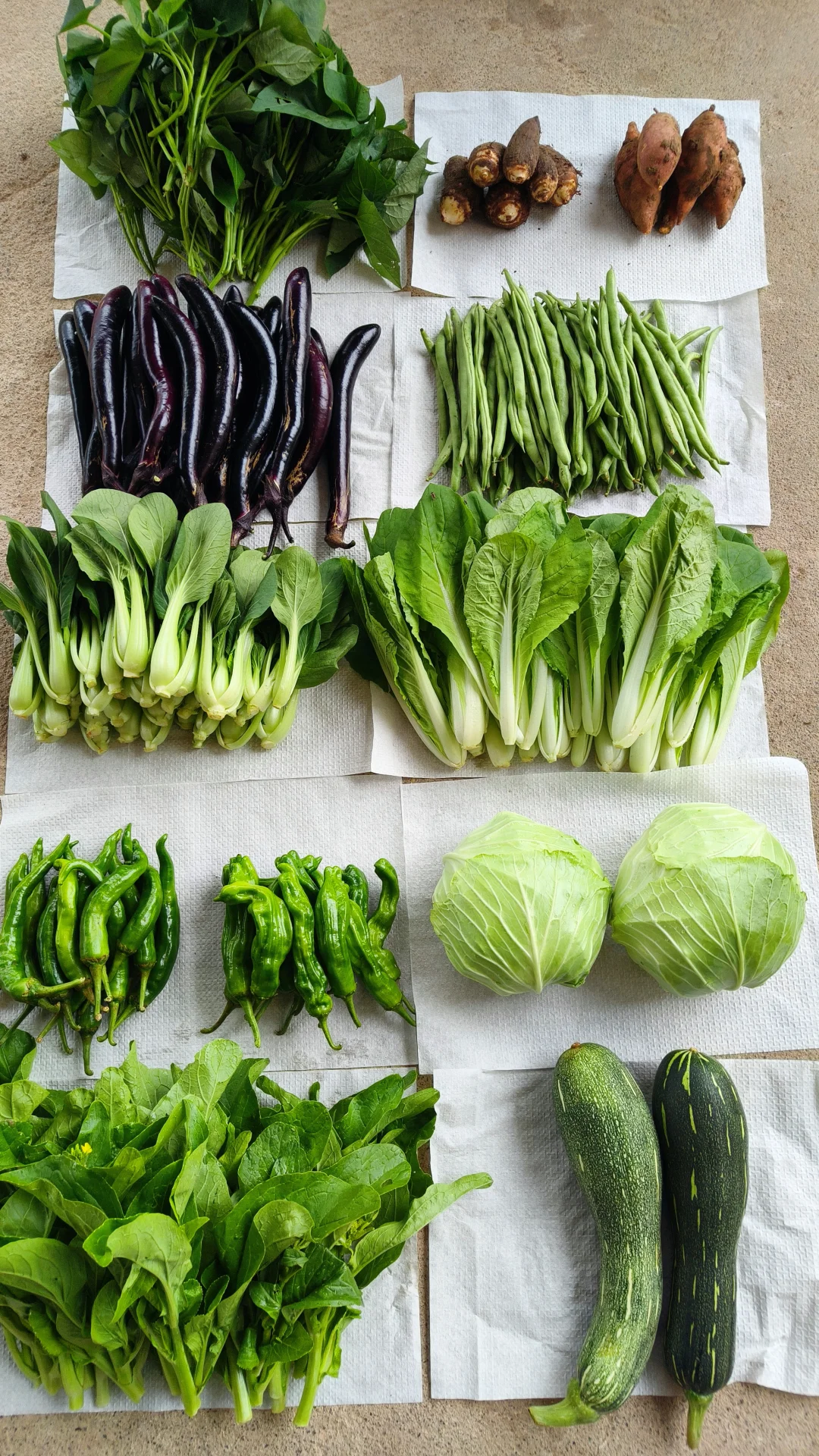 每月150的农家生态蔬菜组合，全国包邮