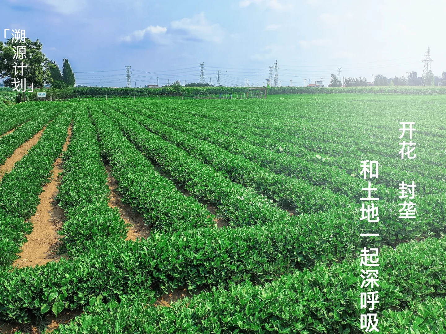 「溯源计划」|和土地一起深呼吸