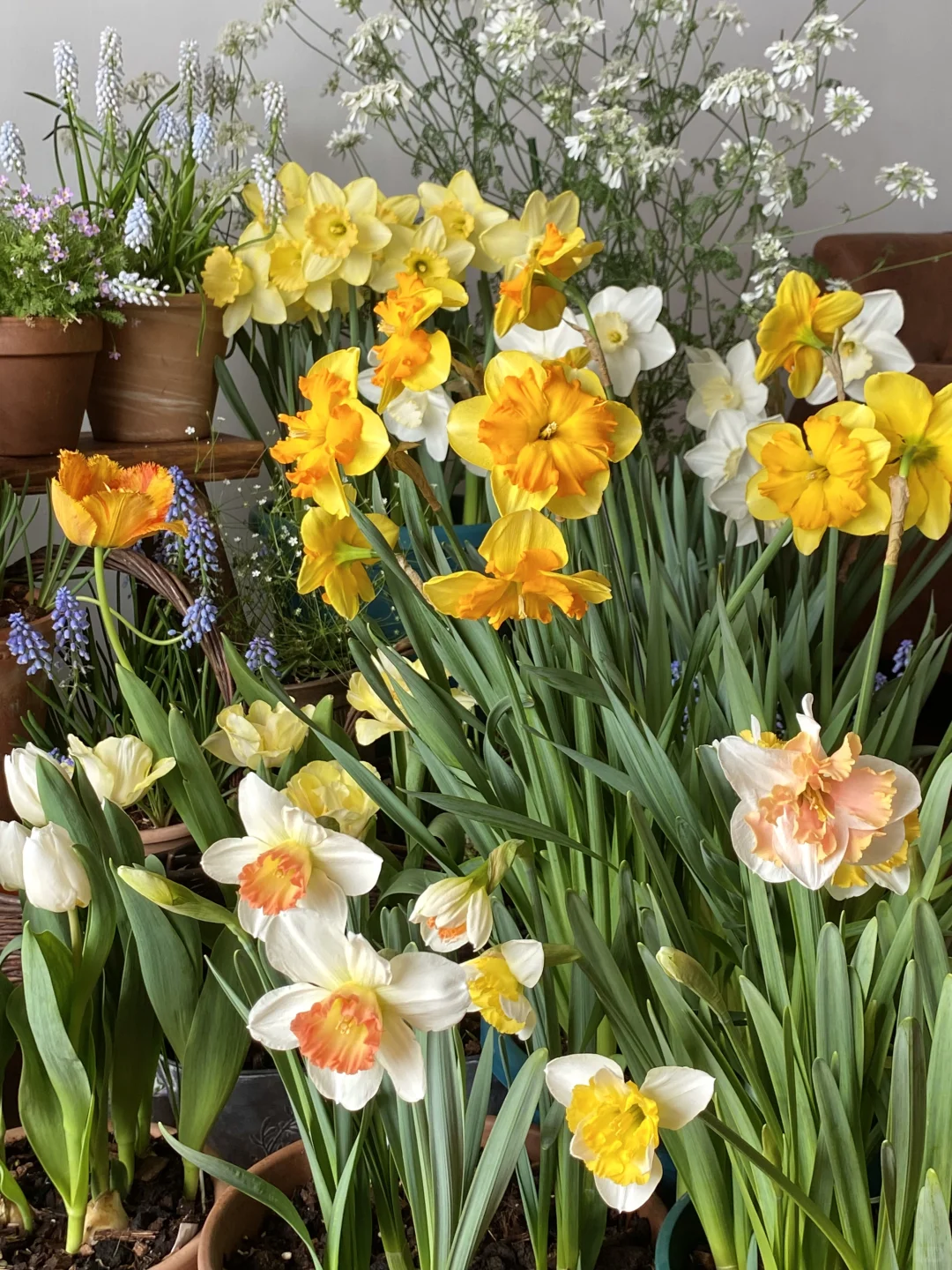 此时此刻我家???