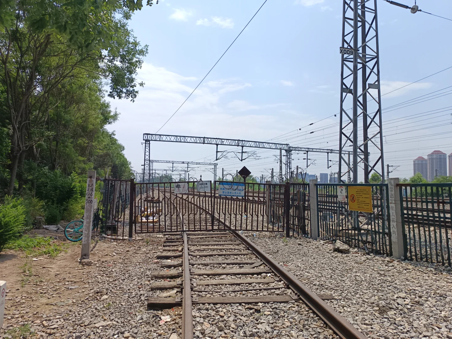 最早生产磷农药的国企是如何把自己逼没的