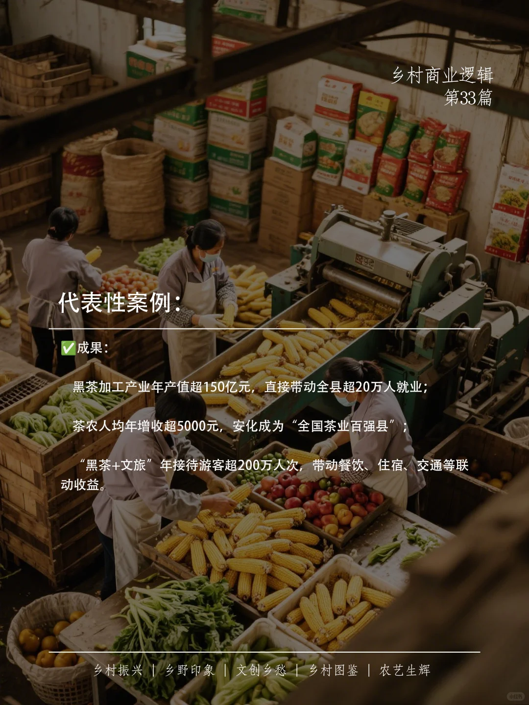 特色农产品加工：让乡村振兴“产得好”！