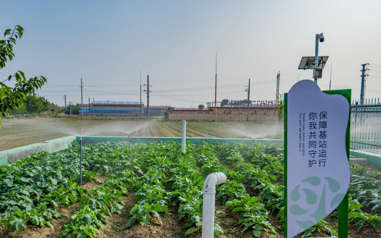 农村生活污水治理资源化利用“最好的方式”