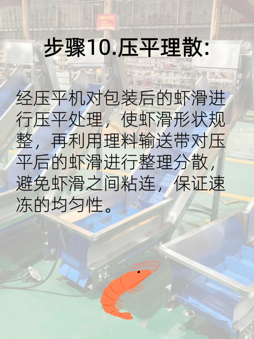 虾仁加工至虾滑流水线流程