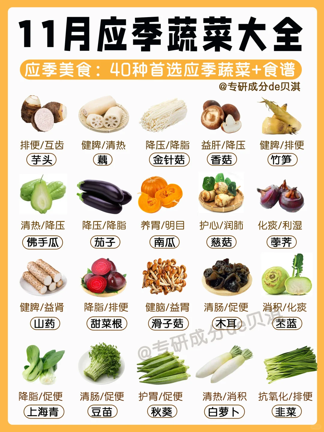 11月应季蔬菜??附营养美味家常菜食谱做法