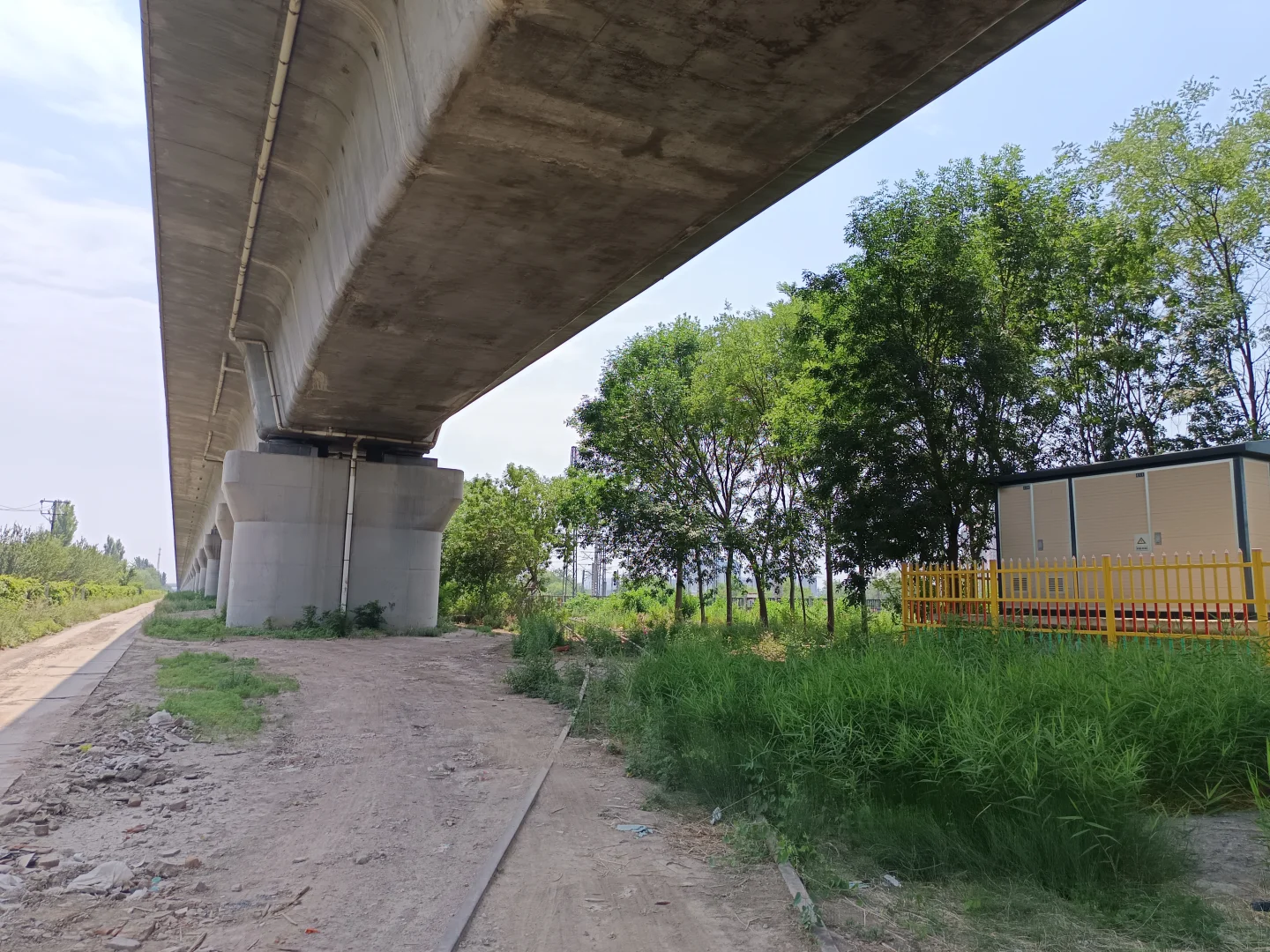 最早生产磷农药的国企是如何把自己逼没的