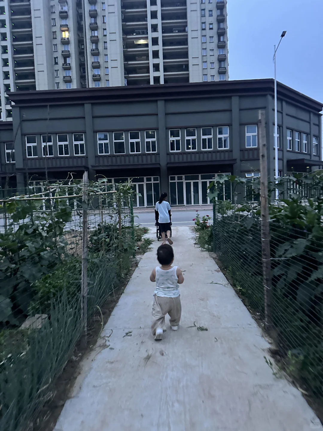 宝宝春季应季蔬菜