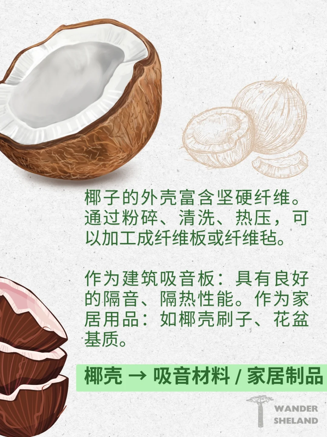 可持续指南｜废弃食材变身新材料 ?