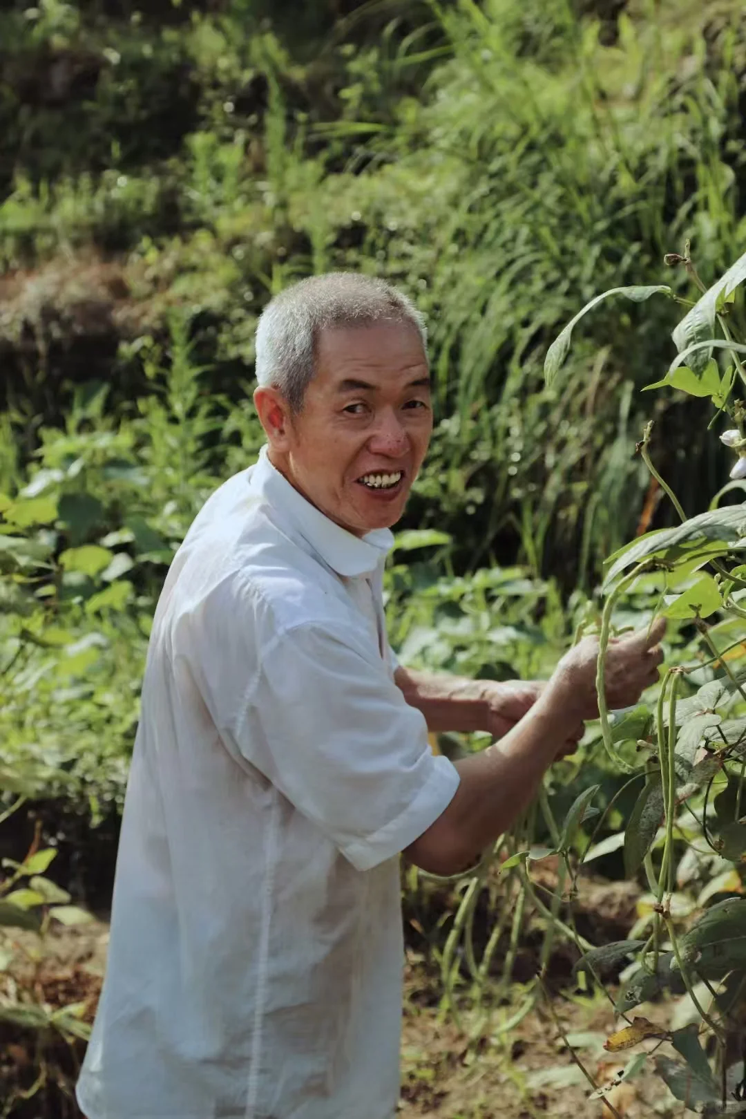 永嘉楠溪江畔的劳动者