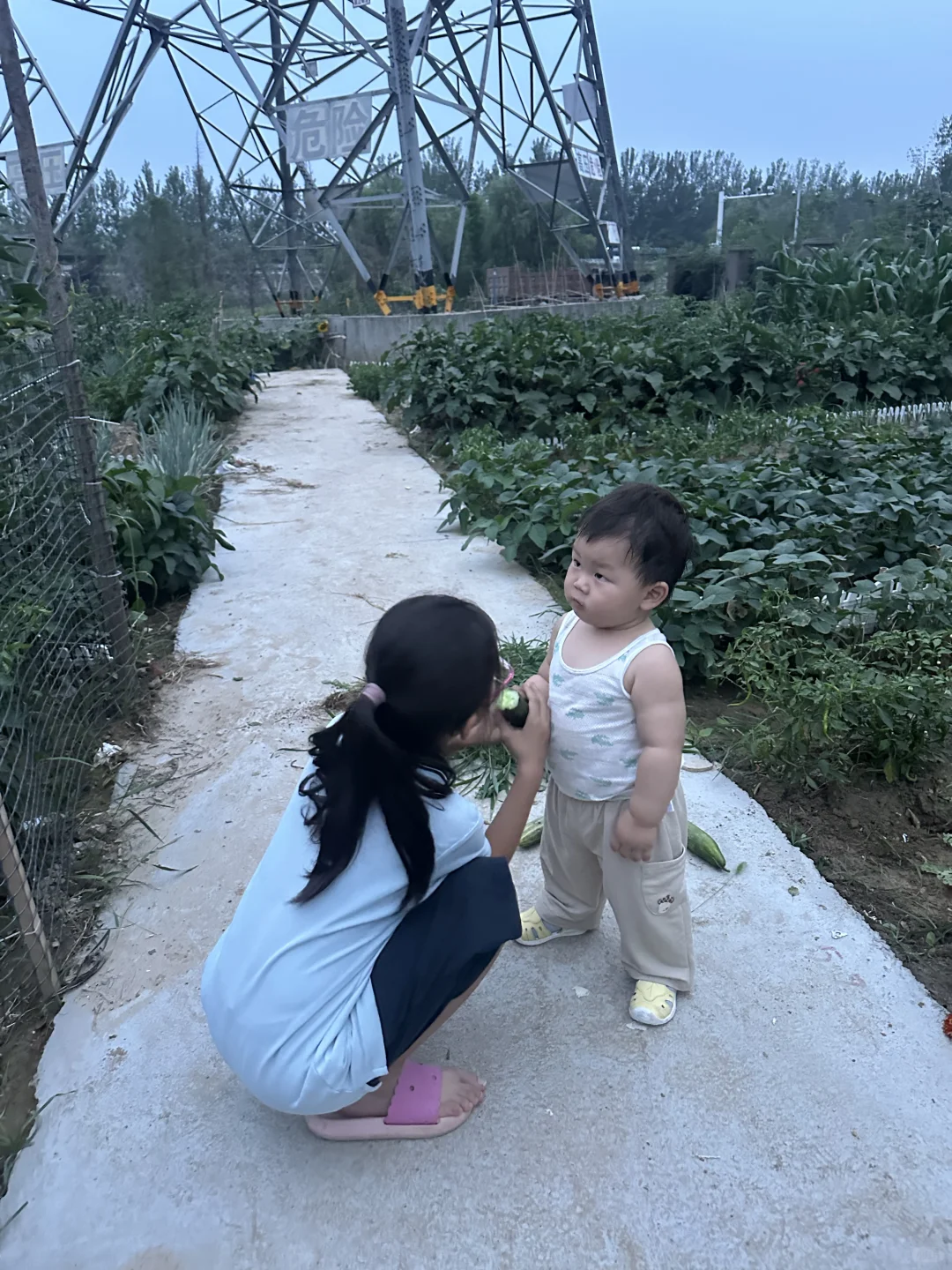 宝宝春季应季蔬菜