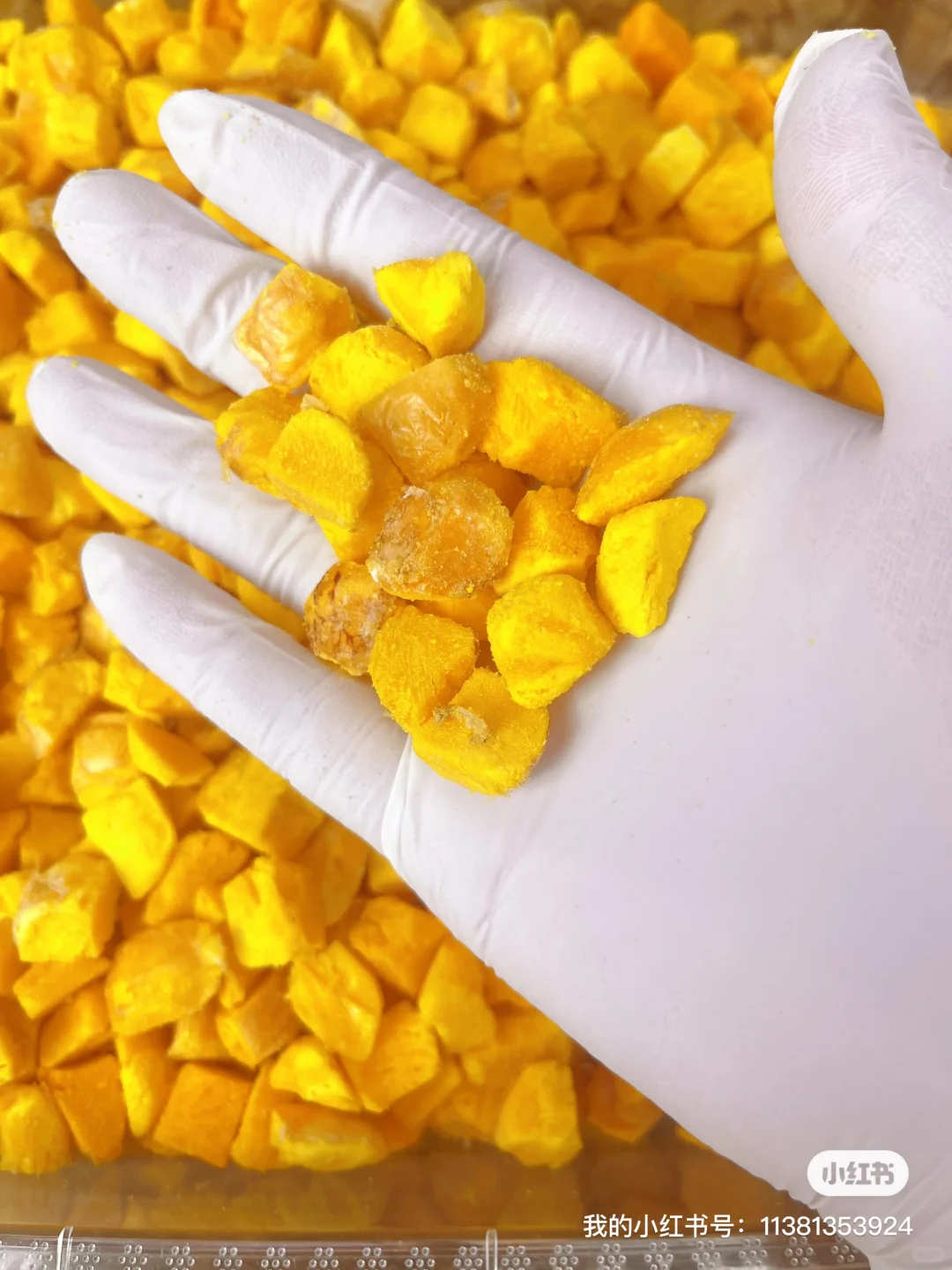 宠物冻干零食，工厂批发