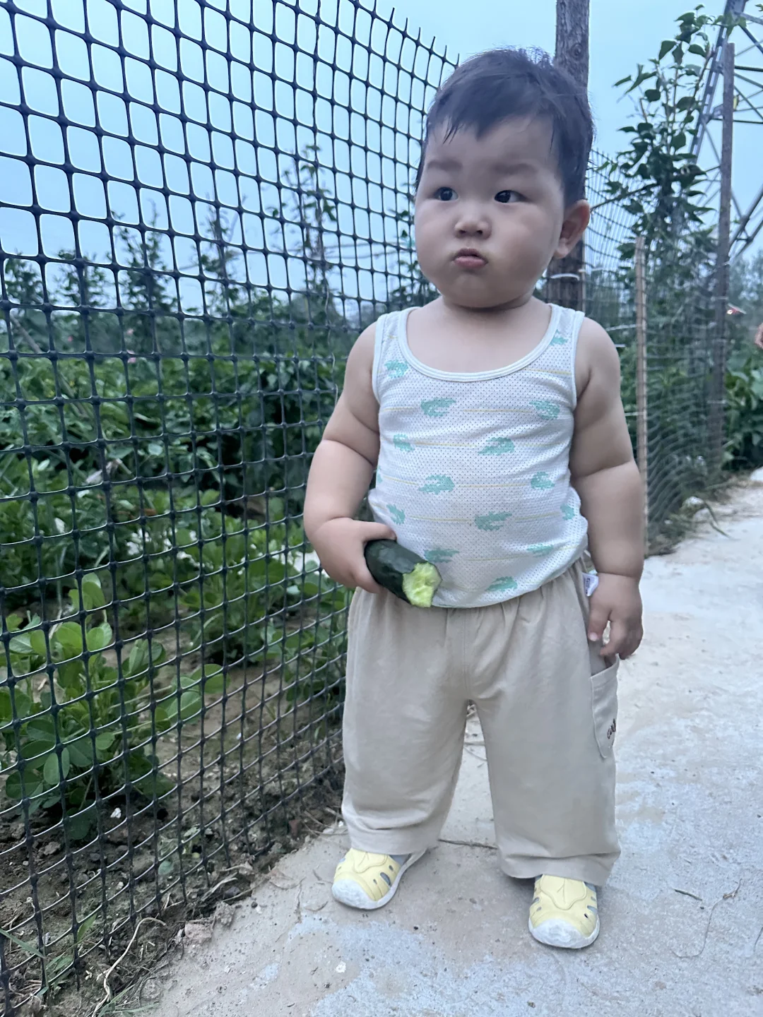 宝宝春季应季蔬菜