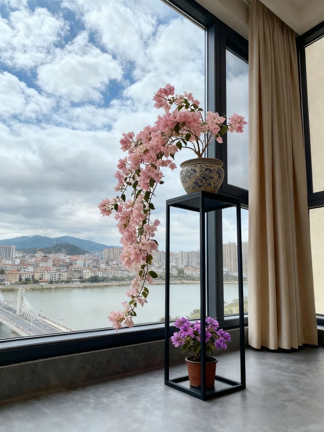 长飘三角梅丽娜，开爆了