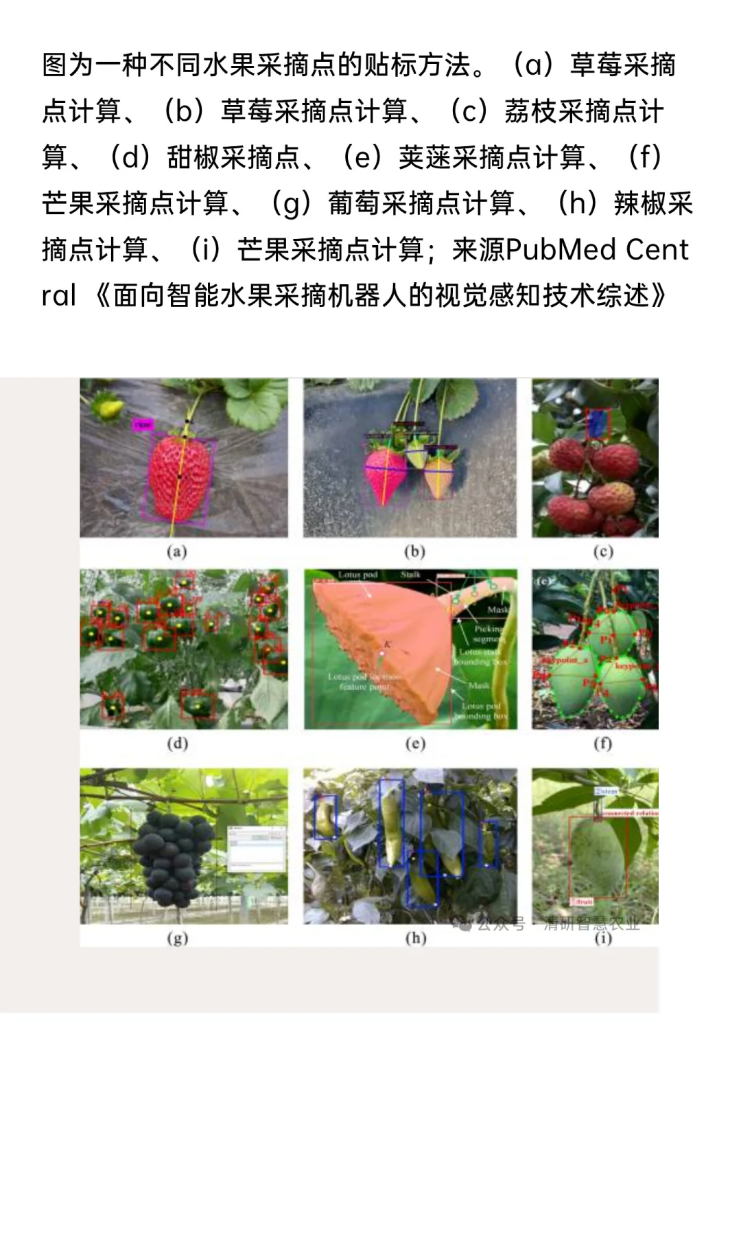 农业机器人在“采摘”领域的三条技术主线