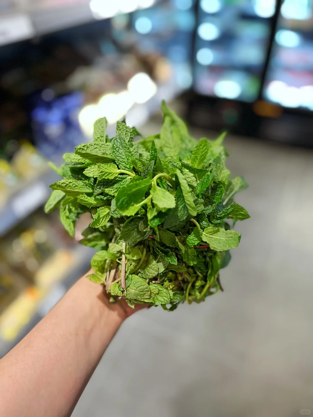 这些菜你都认识吗